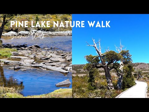 Pine Lake Nature