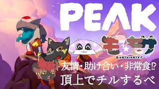 【PEAK】山？壺に入る必要もない？余裕じゃん【モしもサ】