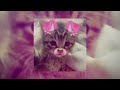 LUV PUNNANI SLOWED REVERB