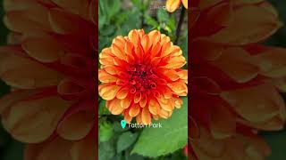 Taste of a ‘Glorious Gardens of Cheshire’ escorted tour. Full report on @travelguruTV