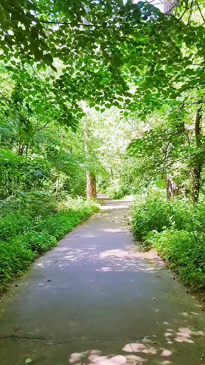 Гидропарк Житомир #naturesounds #forest #park #summer # ...