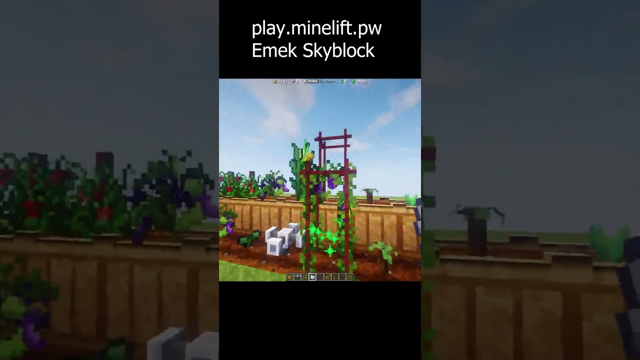 preview_player