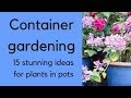 Container gardening - beautiful ideas for plants in pots