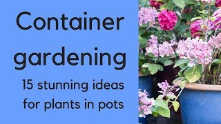 Container gardening - beautiful ideas ...