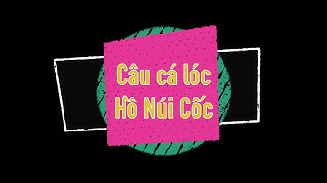 Trải nghiệm câu cá tại Hồ Núi Cốc - Thái Nguyên