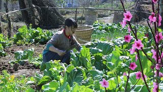 [ErmiChuiyan] Pickles 7 months: pickled fish / pickled vegetables / salted green soybeans...