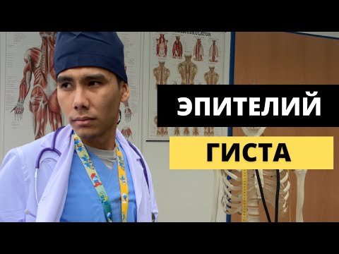 Video: Овидукталдык эпителий клеткалары деген эмне?