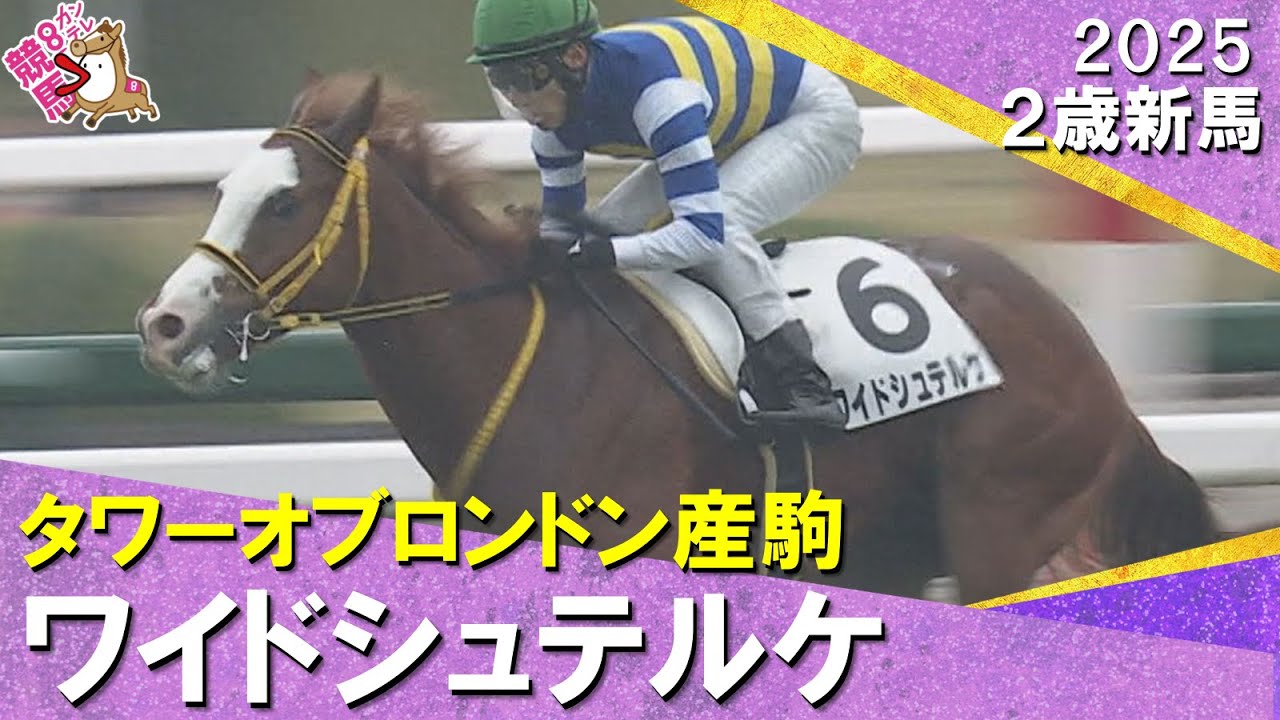 この馬は1400mがベスト！」レジェンド安藤勝己が第25回兵庫