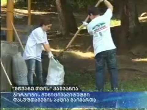 MOE: დაბა წაღვერში ერთობლივი დასუფთავების აქცია მოეწყო