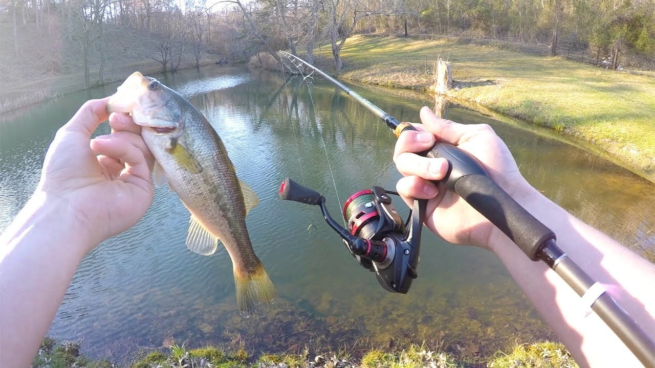 Spring Bass Fishing! *Wacky Worm*