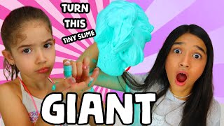 TURN THIS TINY SLIME INTO A GIANT SLIME CHALLENGE!