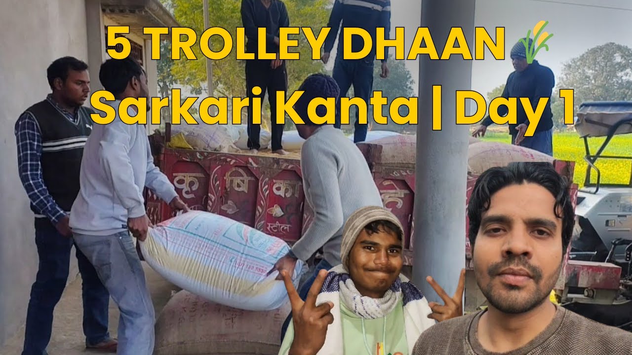 Dhaan Loading & Selling | 5 Trolley | Sarkari Kanta | Day 1
