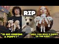 WE LOST A PUPPY…💔 PUPPY Q&A