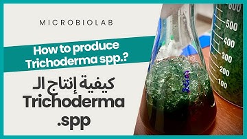 ¿How to produce Trichoderma? / كيفية إنتاج الـ Trichoderma spp.
