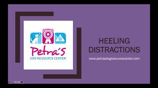 FDSA Workshop Petra Ford Heeling Distractions