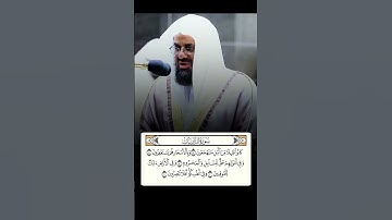 تلاوة الشيخ سعود الشريم سورة الذاريات  #سورة_الذاريات #سعود_الشريم #اكسبلور
