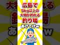 広島で5kg以上の大物が釣れる釣り場あげてけww #shorts #釣り