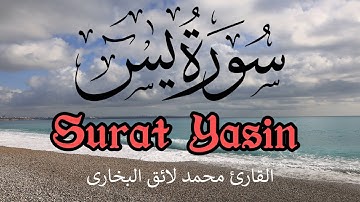 Surah Yaseen Ayat {25 - 36} | Qari Mohammed Laiq | With Arabic Text  |  سورة يس | القارئ  محمد لائق