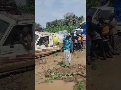 علمي عيوني السفر دارفور نيالا السودان نيالا دارفور بلدنا