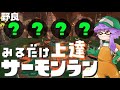 【野良】見るだけ上達サモラン！アラマキオルランで新年初カンストする🐋カンスト295回【スプラトゥーン3/サーモンランNW】