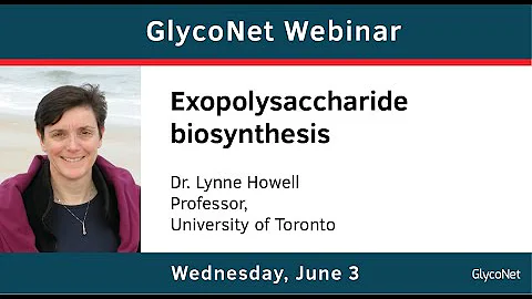 GlycoNet Webinar ft. Lynne Howell: Exopolysacchari...
