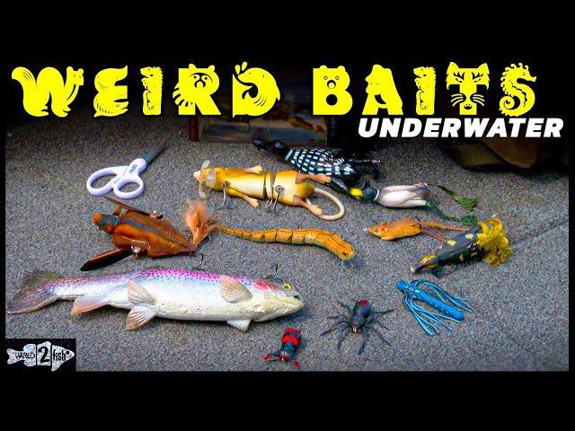 12 WEIRD Fishing Lures and When they Work