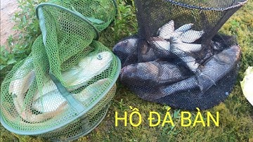 CÂU CÁ HỒ/ NỮA ĐÊM GẶP BẦY MÈ BÒ KÉO SƯỚNG LUÔN #HỒĐÁBÀN TÂN UYÊN #ANLE79