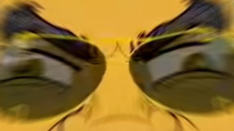 The Nutshack but Google Translated through 10 languages, put into TTS, and played over a bad midi