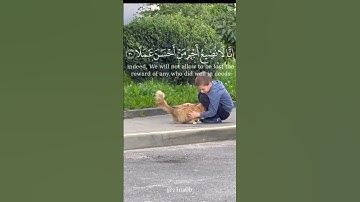 سورة الكهف 🎧💙