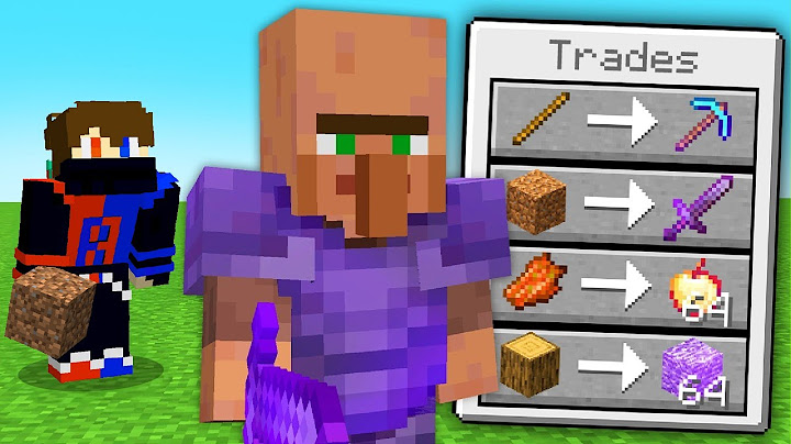 I Found a Villager Which Trade Secret OP Items