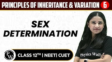 Principles of Inheritance & Variation 06 | Sex Determination | Pure English | 12th / NEET/CUET