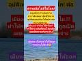 เมื่ิิอความลับถูกเปิดเผย!!!#nature #love #shortvideo