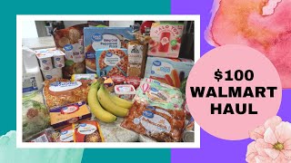 $100 Walmart Grocery Haul & Hobby Lobby Fairy Garden Haul