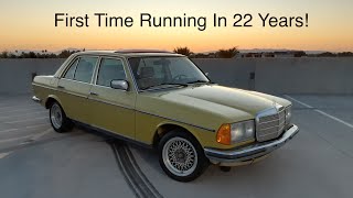 1980 Mercedes 280E Revival (Sat in a field for 22 years)