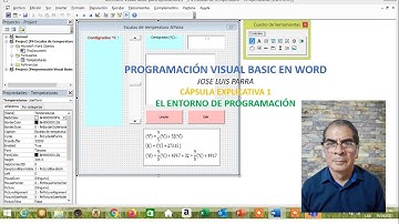 PROGRAMACION VISUAL BASIC EN WORD. CAPSULA EXPLICATIVA 1.