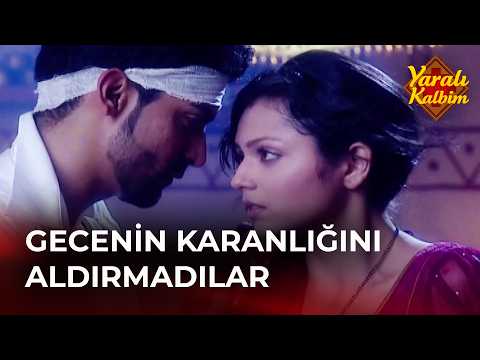Heartwarming Moments Filled with Love - Wounded Heart (Geet) Episode 255