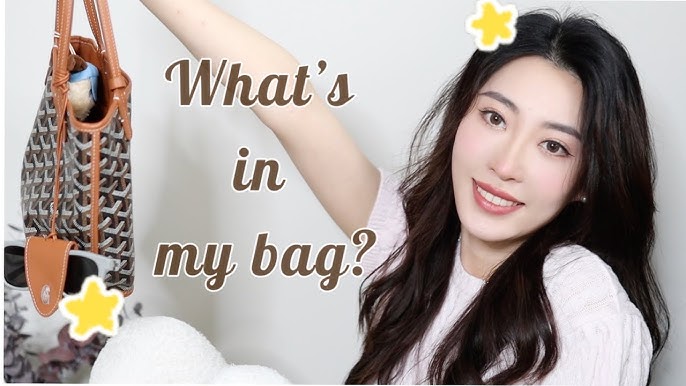 What's In My Bag?  Goyard Anjou Mini Bag 