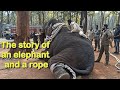 The story of an elephant and a rope