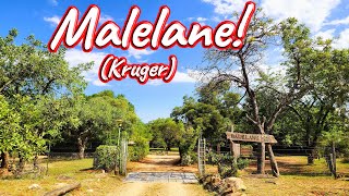 S1 - Ep 441 - Malelane Satellite Camp!