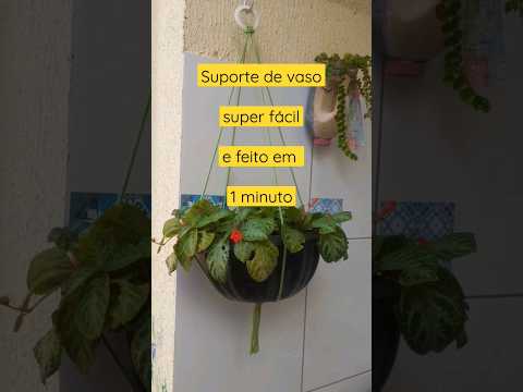 Vídeo: Cestas de Plantas Suspensas - Plantas de Interior em Plantadores Suspensos