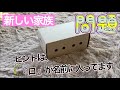【新しい家族】1匹だけ取り残されたペットが可愛い過ぎたのでお迎えしました!