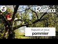 Rajeunir un vieux pommier