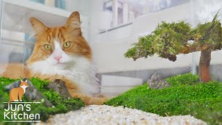 Making a Bonsai Aquarium by JunsKitchen 2,607,590 views 3 years ago 11 minutes, 16 seconds