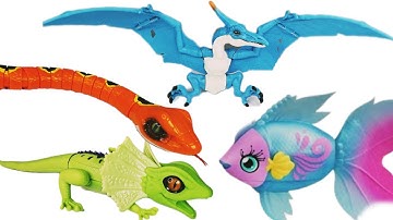 ZURU ROBO ALIVE COLLECTION | UNBOXING Robo Fish,  Robo Snake , Robo Lizard | ASMR