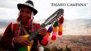 PAJARO CAMPANA (CHARANGO, QUENA Y ZAMPOÑA ) chords