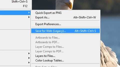 Image Optimization in Photoshop