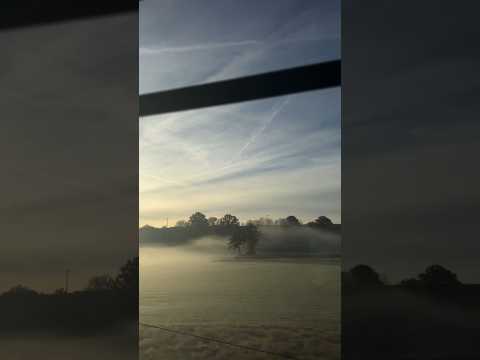 بعيدا عن ل ديال