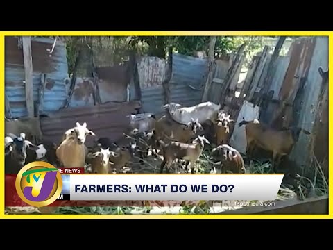 Farmers: What do we do? TVJ News - Feb 18 2022