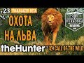 theHunter Call of the Wild #23 🔫 - ОХОТА НА ЛЬВА - Новое Животное Африки!