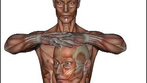 Orthopedic Test - JACKSON'S TEST